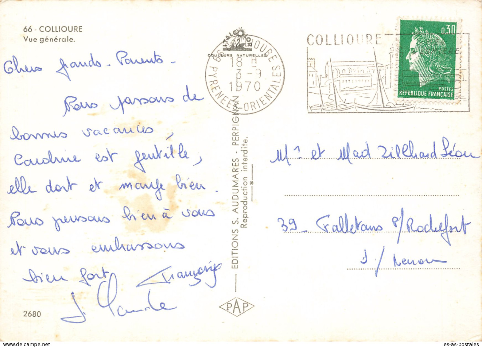 66 COLLIOURE  - Collioure