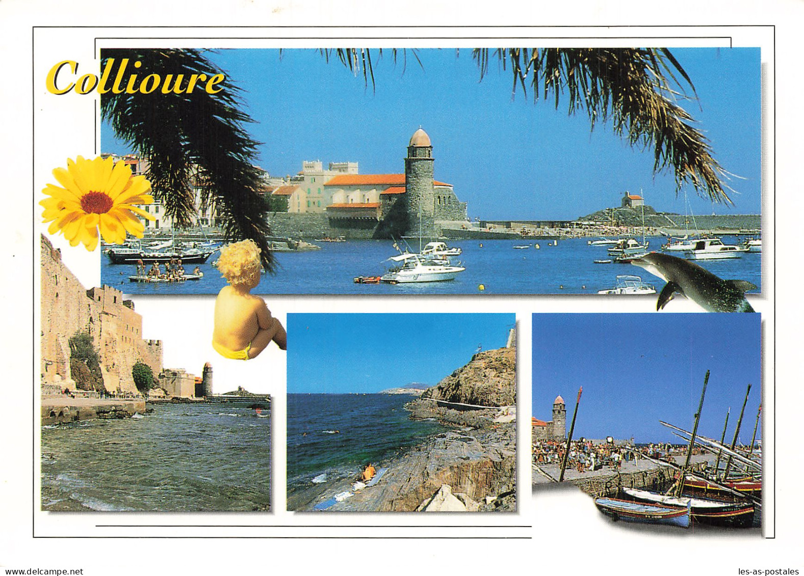 66 COLLIOURE  - Collioure