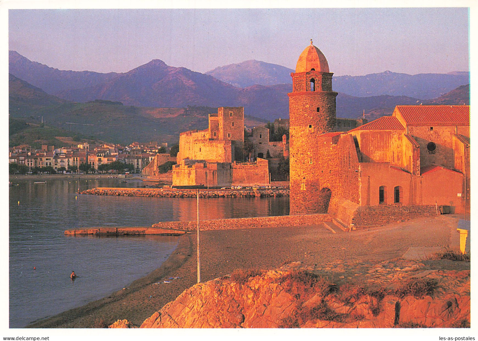 66 COLLIOURE  - Collioure