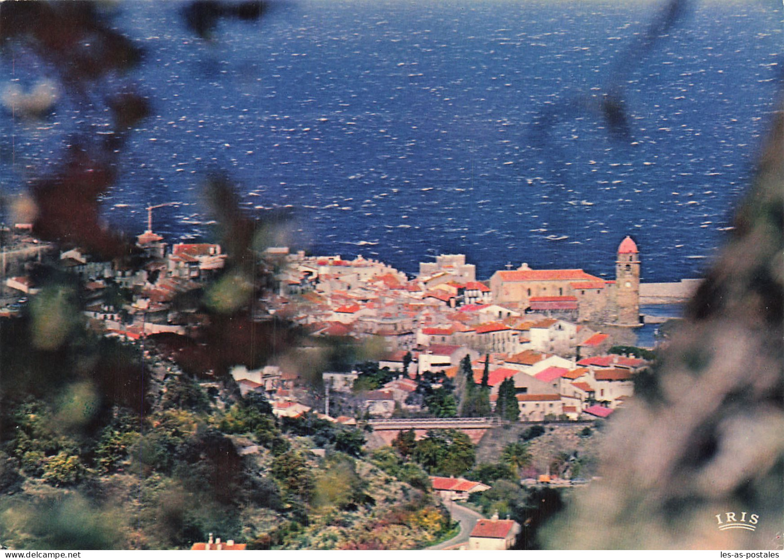 66 COLLIOURE EGLISE NOTRE DAME DES ANGES - Collioure