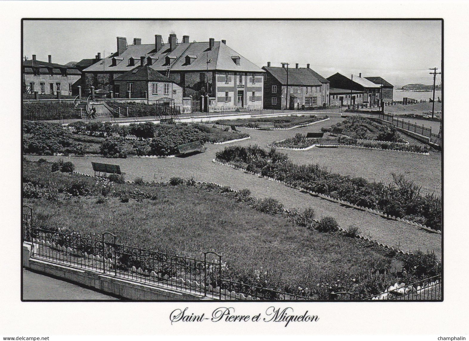 Saint-Pierre Et Miquelon - Saint-Pierre - Square Joffre (CPM - Reproduction) - San Pedro Y Miquelón