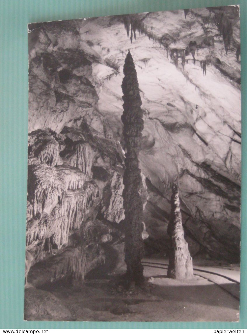 Postojna / Postumia / Adelsberg - Postojnska Jama / Höhle, Destination Frankreich 1960 - Slovenia