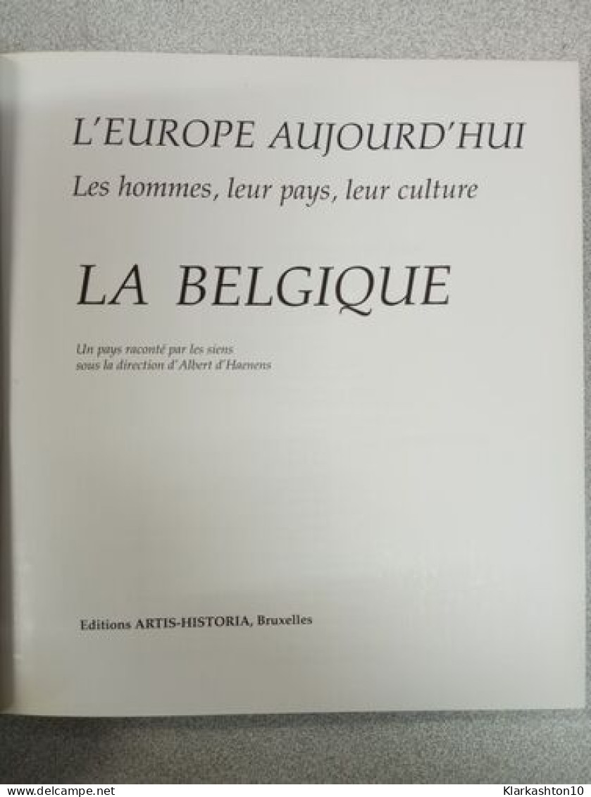 L'europe Aujourd'hui - La Belgique - Autres & Non Classés