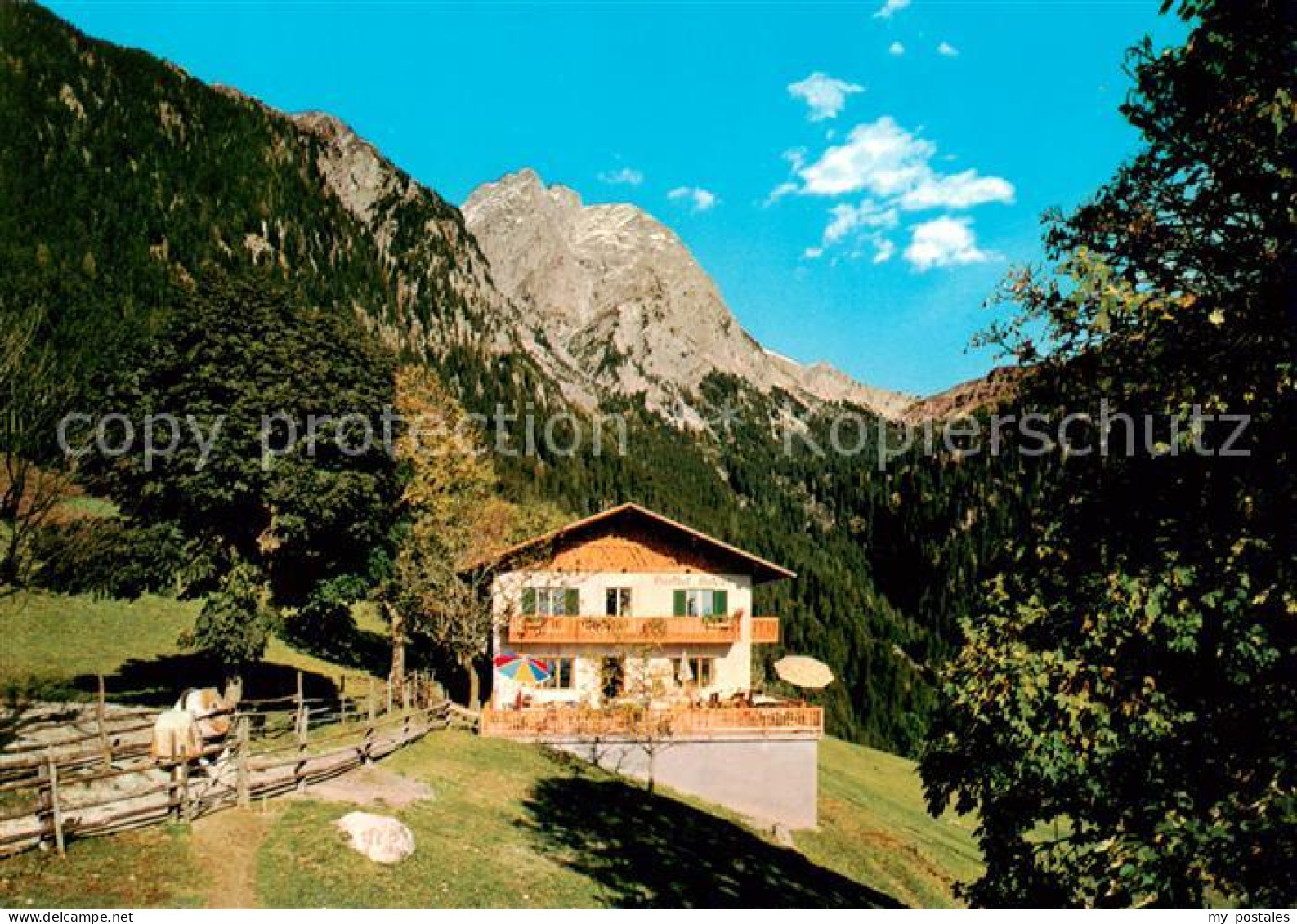 73856912 Schenna Meran Trentino IT Gasthof Gsteier Locanda Casatura  - Otros & Sin Clasificación