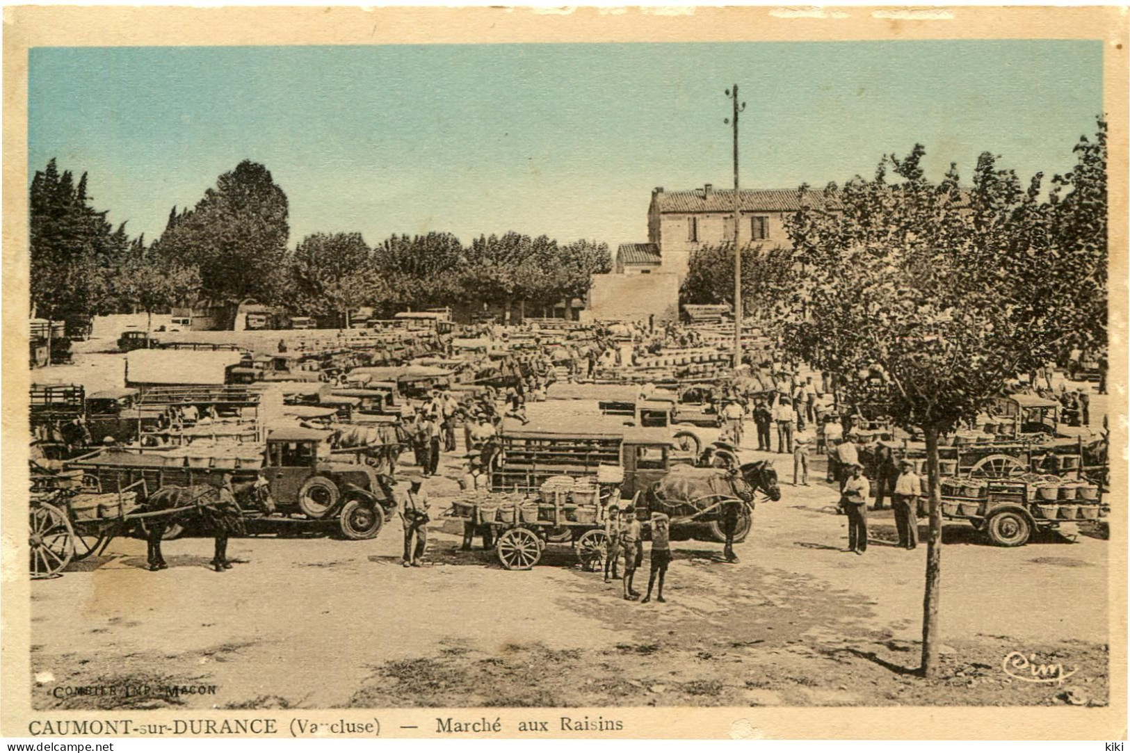 Caumont Sur Durance  Marché Aux Raisins - Caumont Sur Durance