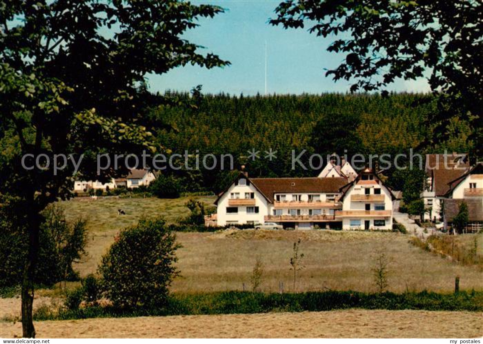 73856795 Neuhaus Solling Hotel Pension Schwalbenhof Neuhaus Solling - Holzminden