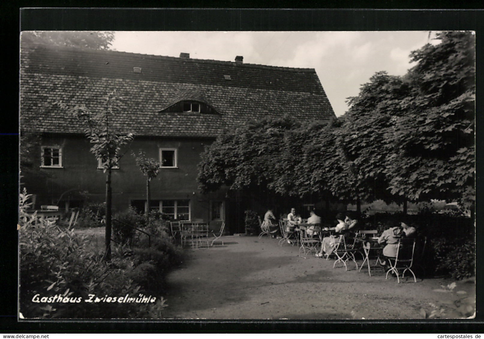 AK Pirna, Gasthaus Zwieselmühle  - Pirna