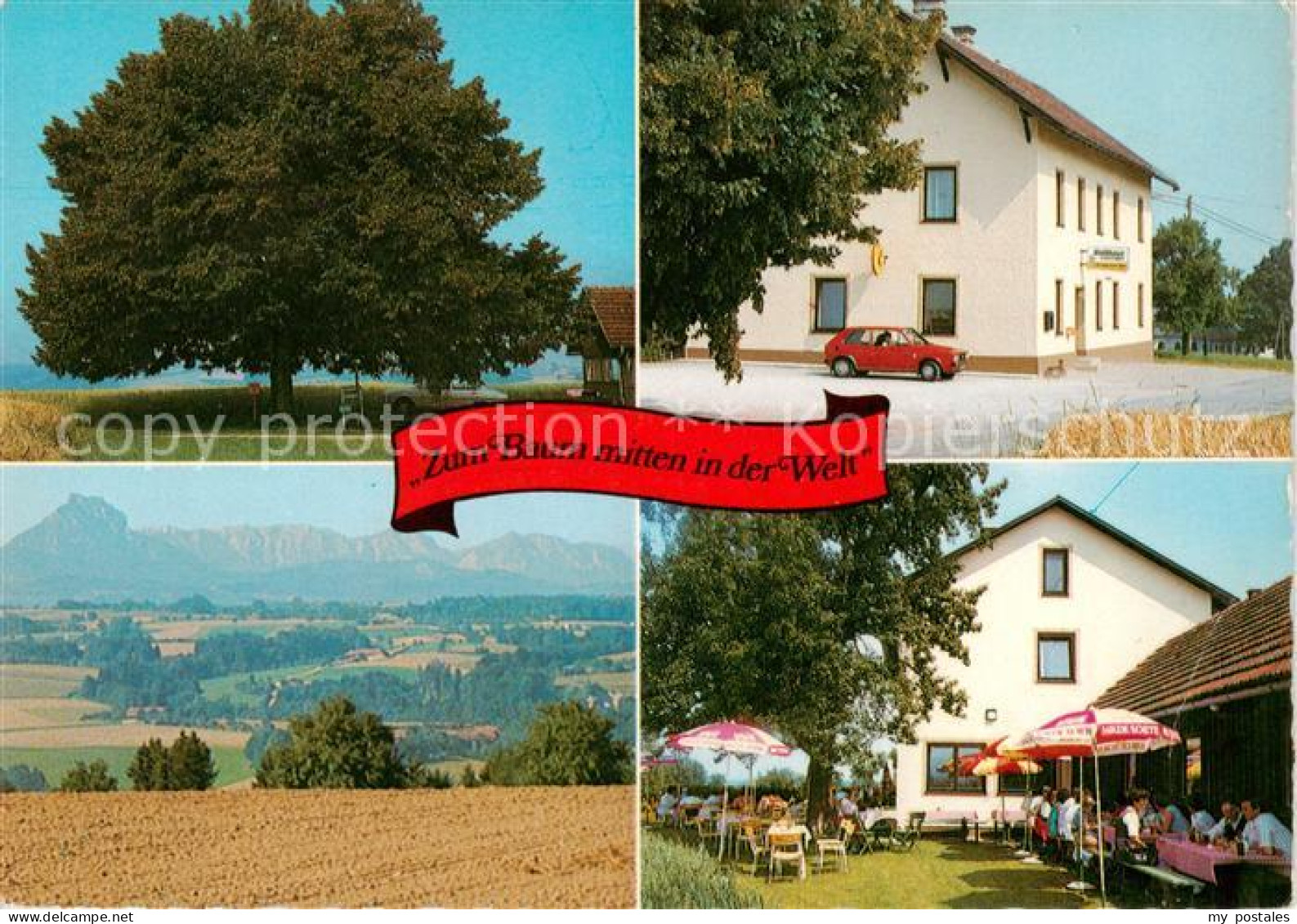 73856556 Kremsmuenster Gasthaus Zum Baum Mitten In Der Welt Panorama Freiterrass - Sonstige & Ohne Zuordnung