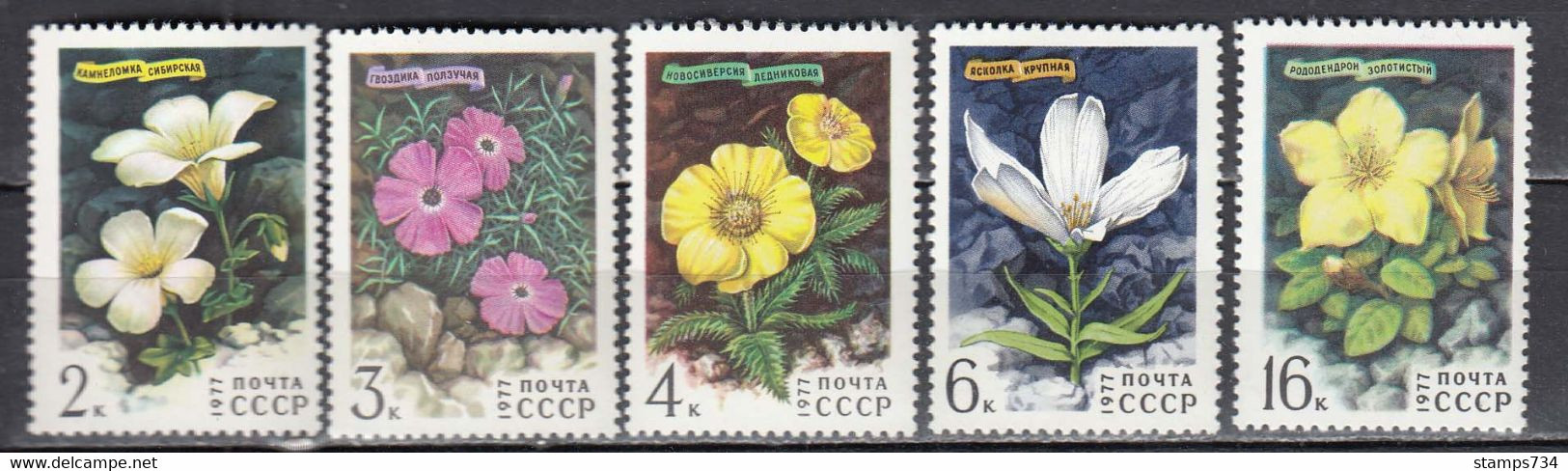 USSR 1977 - Flowers, Mi-nr. 4592/96, MNH** - Ongebruikt