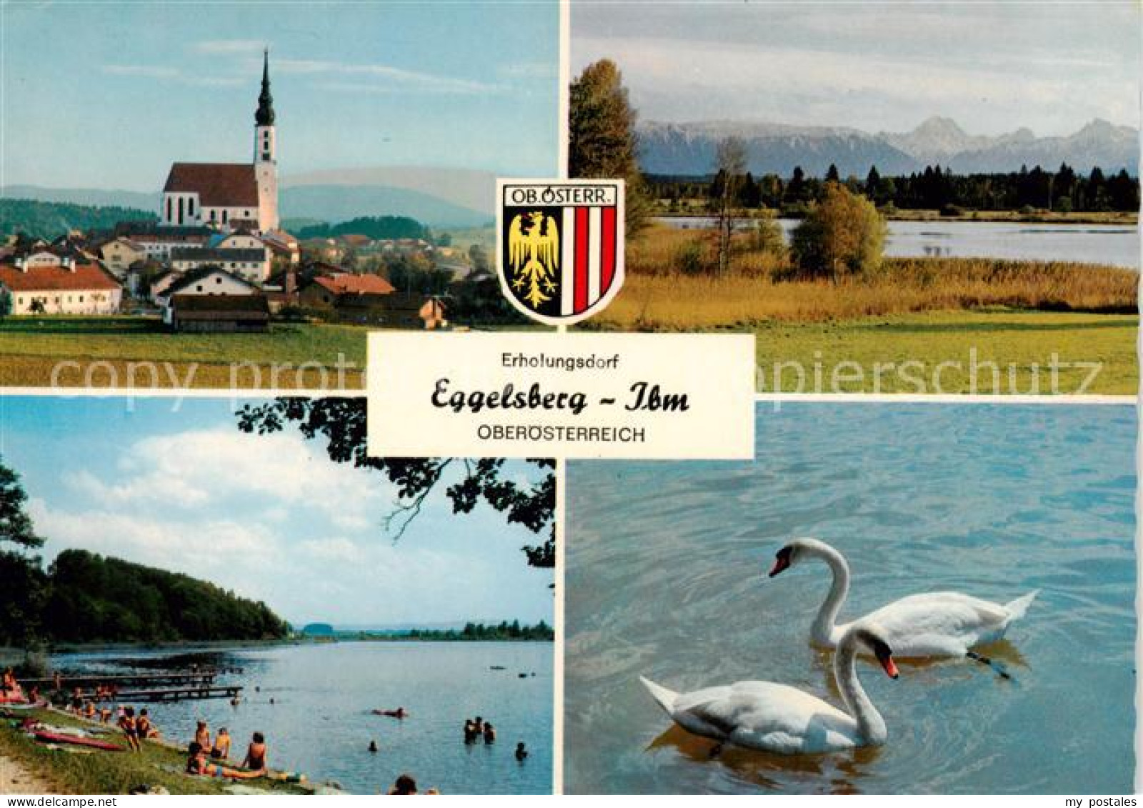 73856479 Eggelsberg Oberoesterreich AT Kirche Heratingersee Strandpartie Schwaen - Sonstige & Ohne Zuordnung