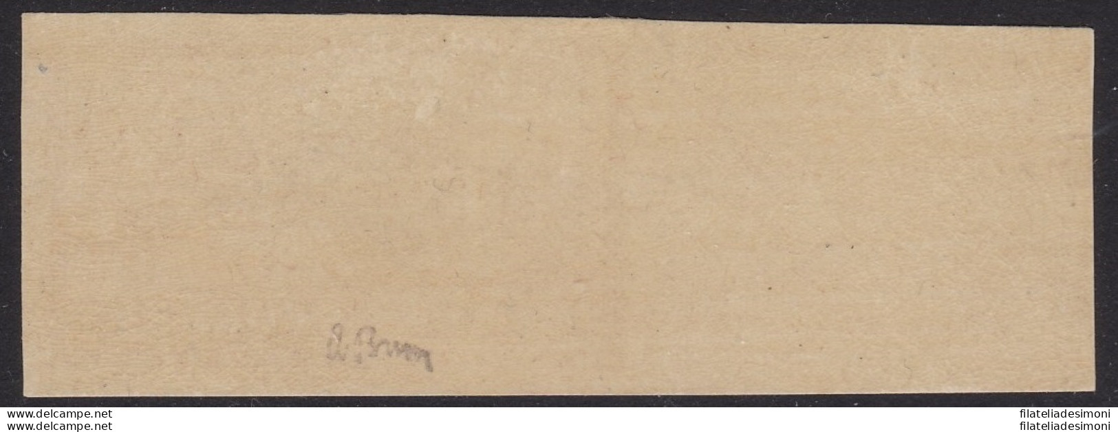 1900 FRANCIA  N. 119 40 C. Rosso E Blu NON DENTELLATO MNH** Firmato Brun - Altri & Non Classificati