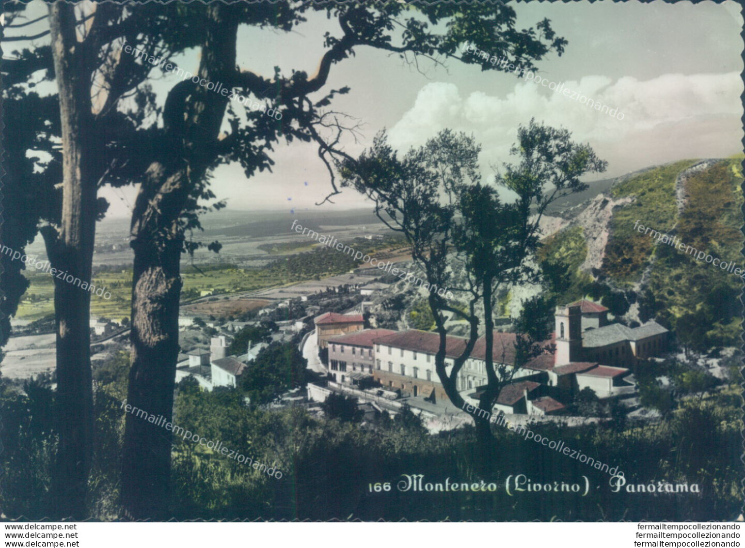 Z229 Cartolina Montenero Panorama Provincia Di Livorno - Livorno