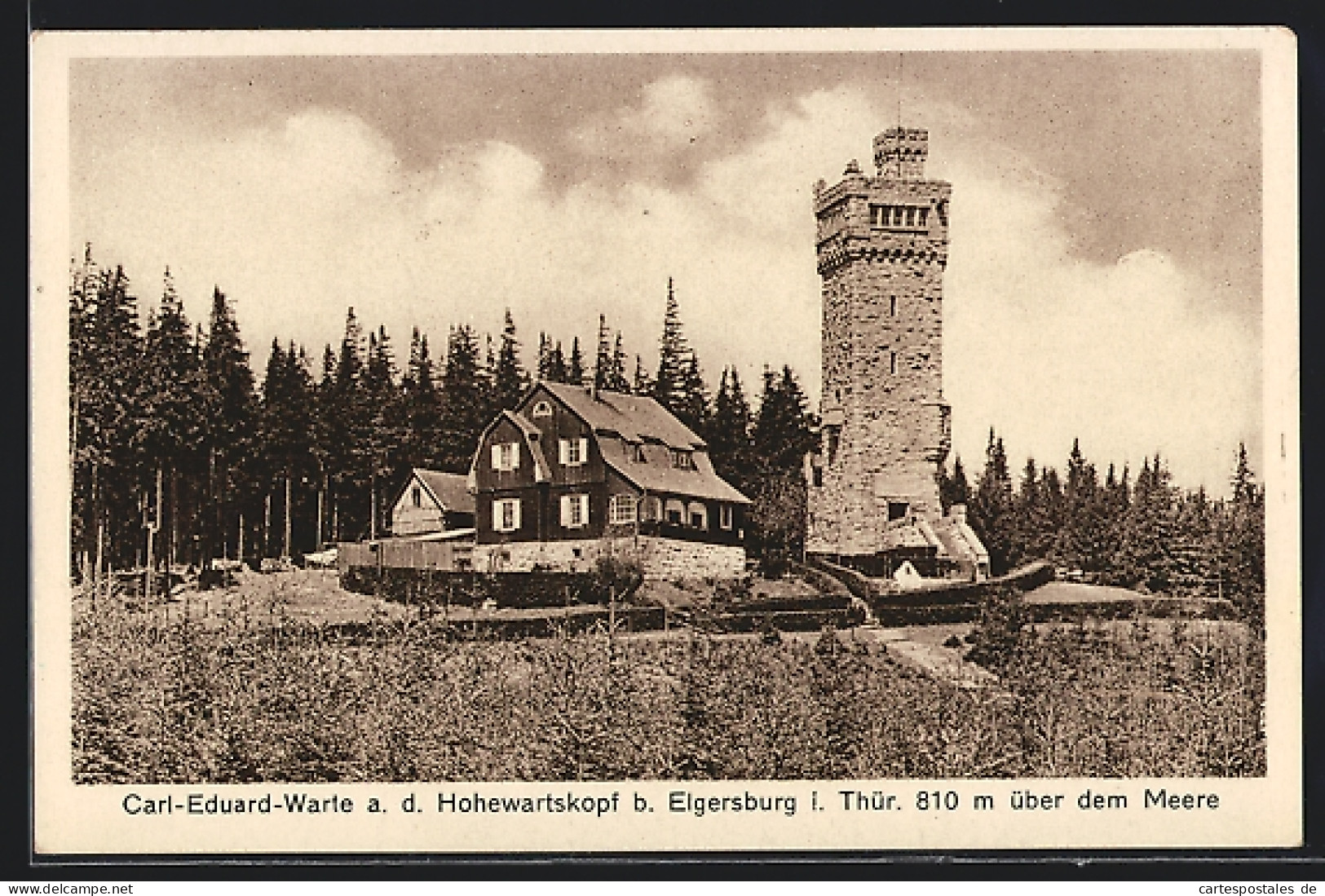 AK Elgersburg / Thür., Carl-Eduard-Warte A. D. Hohewartskopf  - Elgersburg