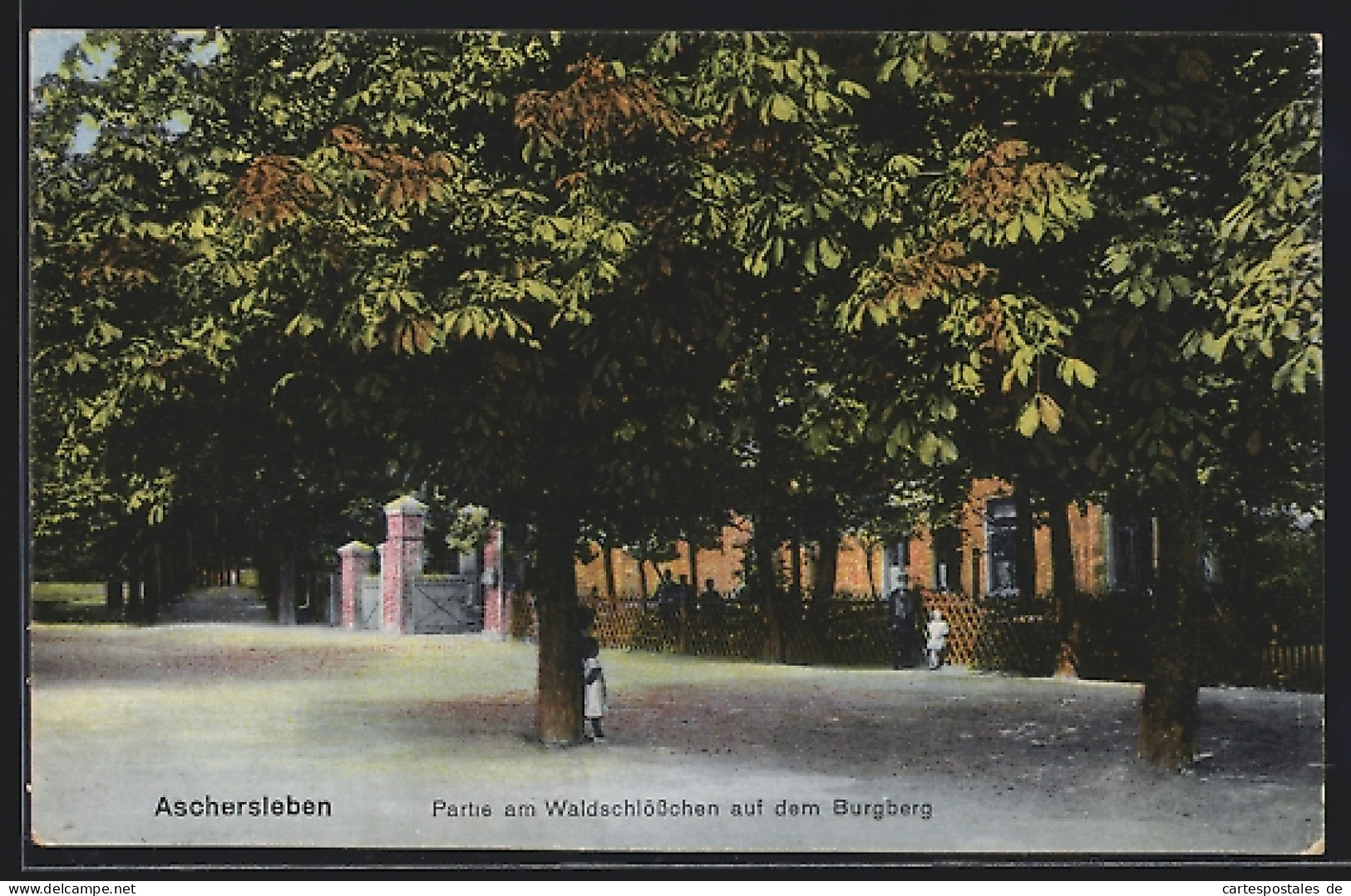 AK Aschersleben, Waldschlösschen Auf Dem Burgberg  - Aschersleben