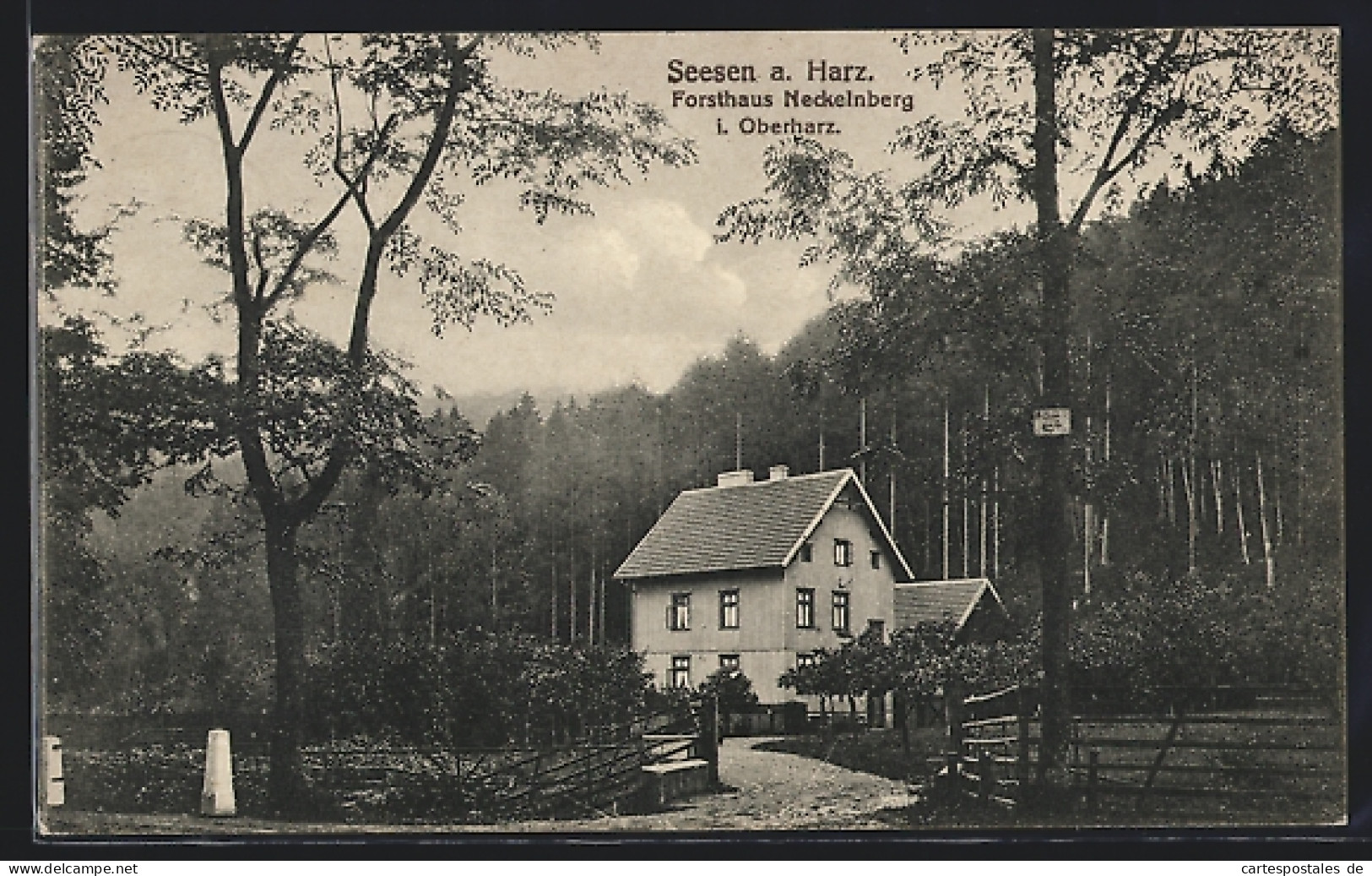 AK Seesen A. Harz, Forsthaus Neckelnberg  - Chasse
