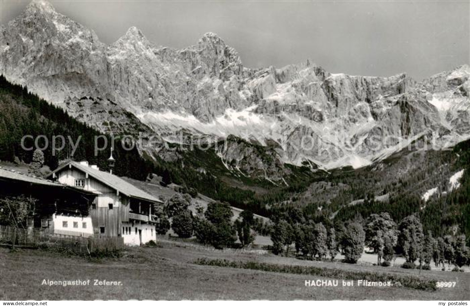 73856281 Hachau Filzmoos AT Alpengasthof Zeferer Alpen  - Autres & Non Classés