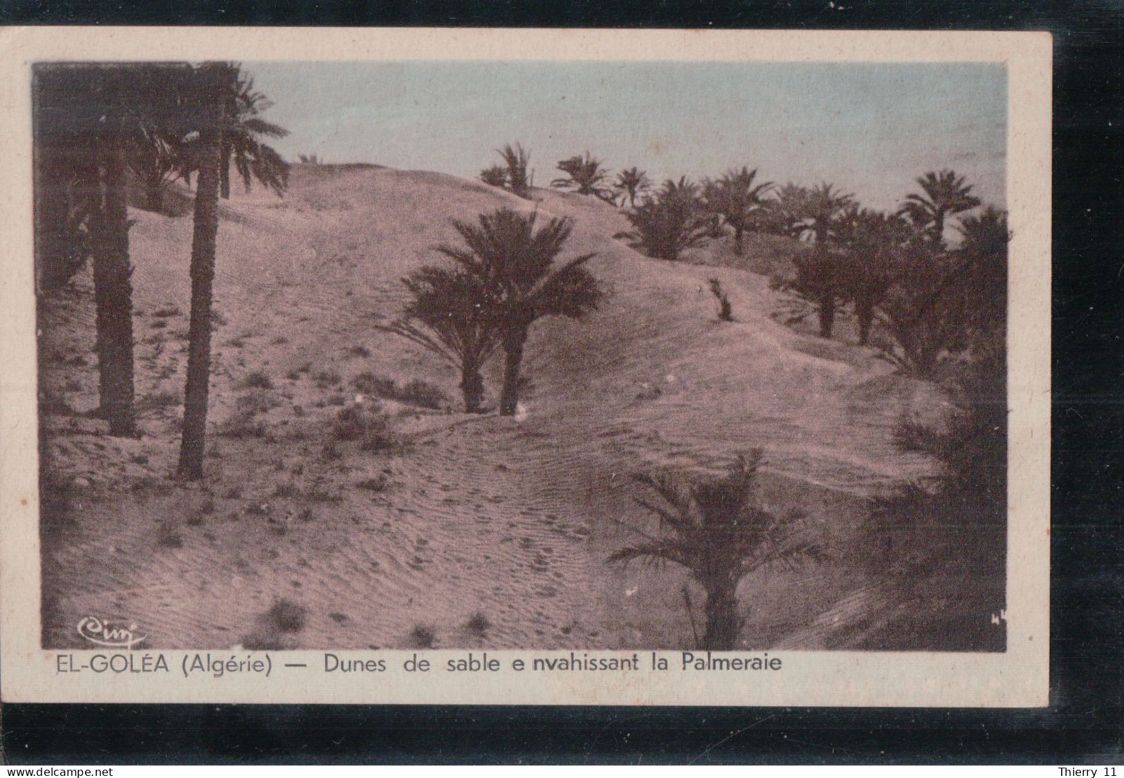 Cpa El-Goléa Dunes De Sable Envahissant La Palmeraie - Other & Unclassified