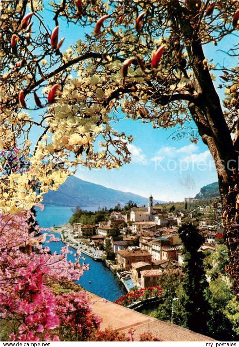 73856206 Limone Sul Garda IT Primavera Fruehling Panorama  - Andere & Zonder Classificatie