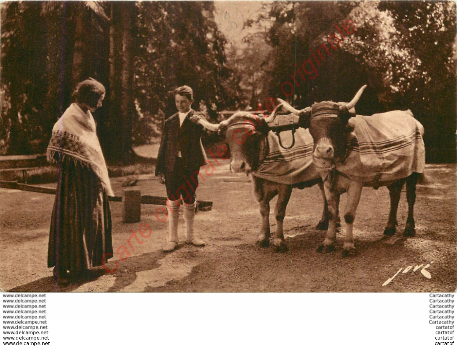 Terroir Pyrénéen .  Types Et Costumes . La Vie Des Champs .  (attelage De Boeufs ) . - Otros & Sin Clasificación