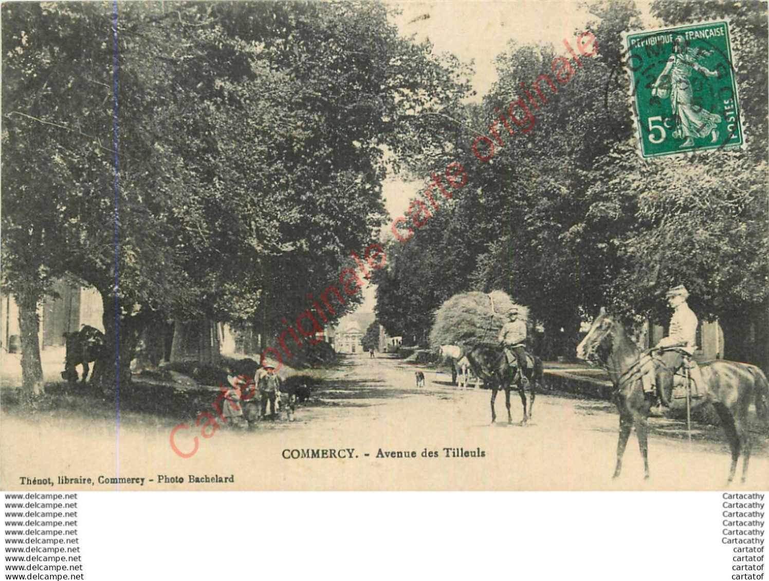 55.  COMMERCY .  Avenue Des Tilleuls . - Commercy