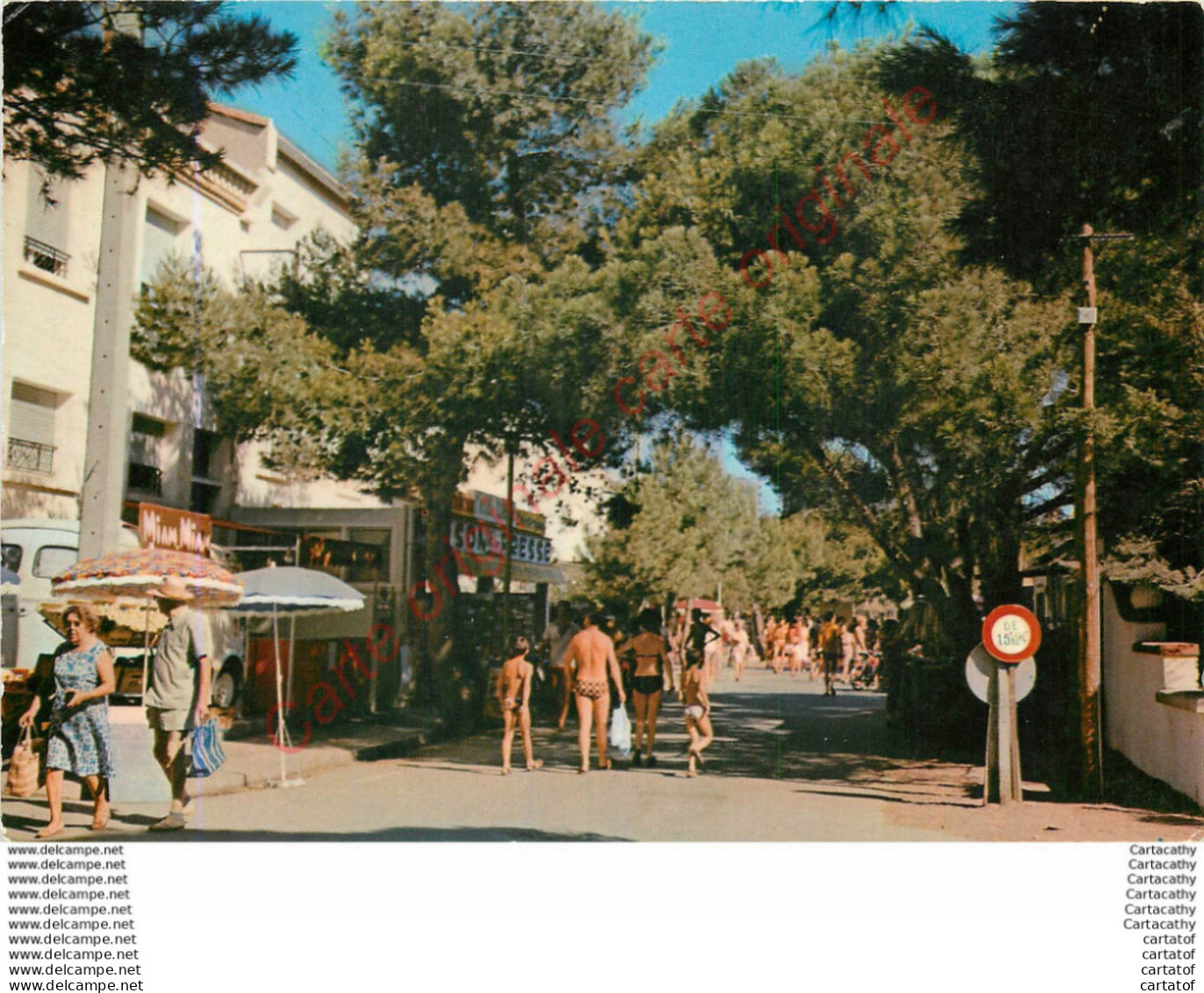 66.  ARGELES SUR MER .  Allée Des Pins . - Argeles Sur Mer