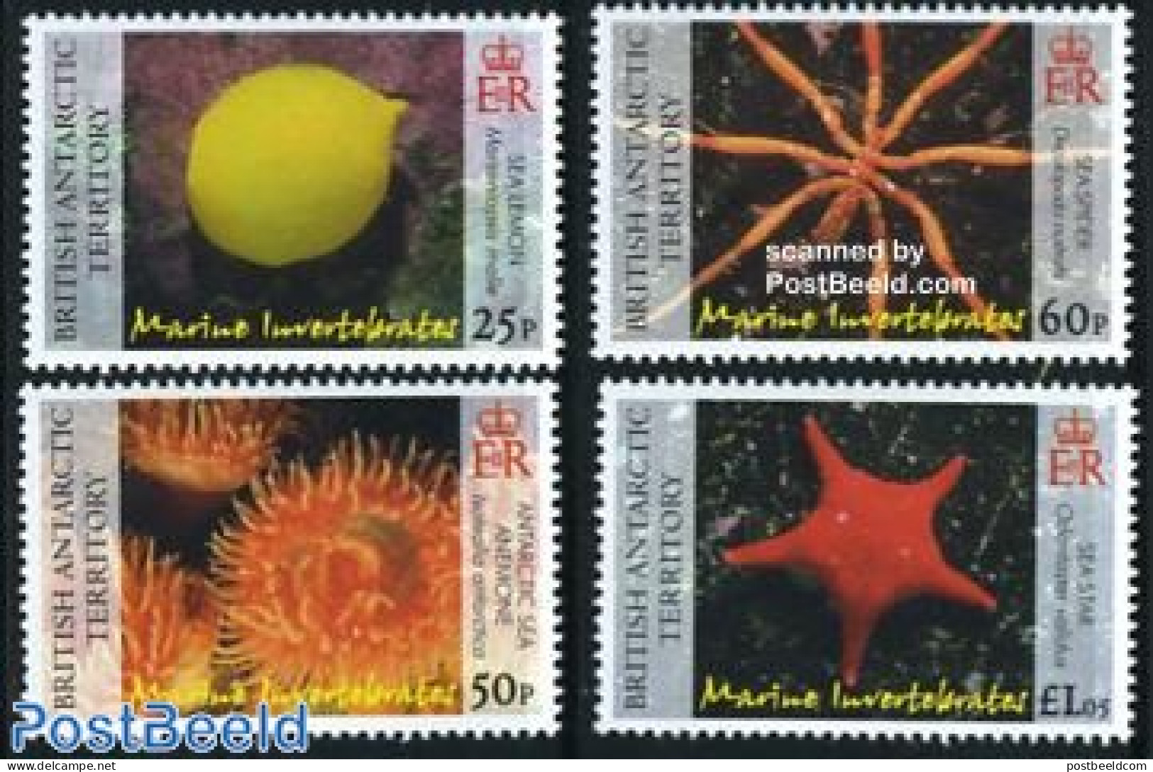 British Antarctica 2007 Marine Invertebrates 4v, Mint NH, Nature - Shells & Crustaceans - Vie Marine