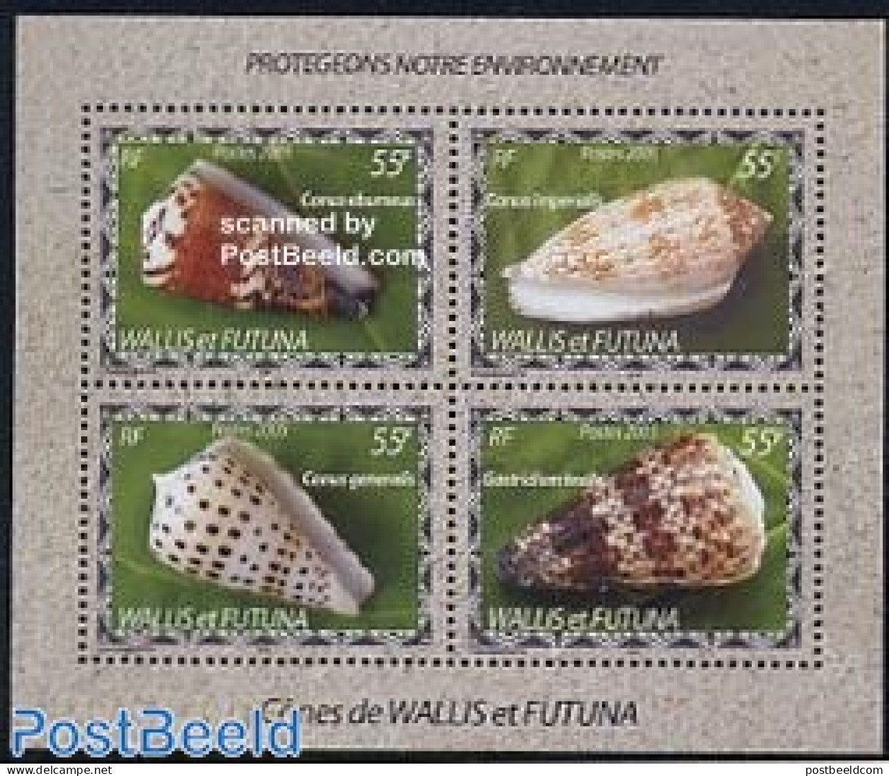 Wallis & Futuna 2005 Shells 4v M/s, Mint NH, Nature - Shells & Crustaceans - Vie Marine