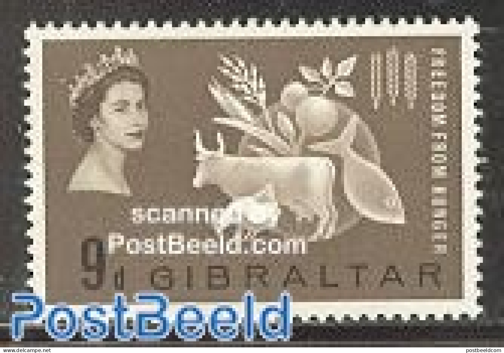 Gibraltar 1963 Freedom From Hunger 1v, Mint NH, Health - Nature - Food & Drink - Freedom From Hunger 1963 - Poultry - Alimentation