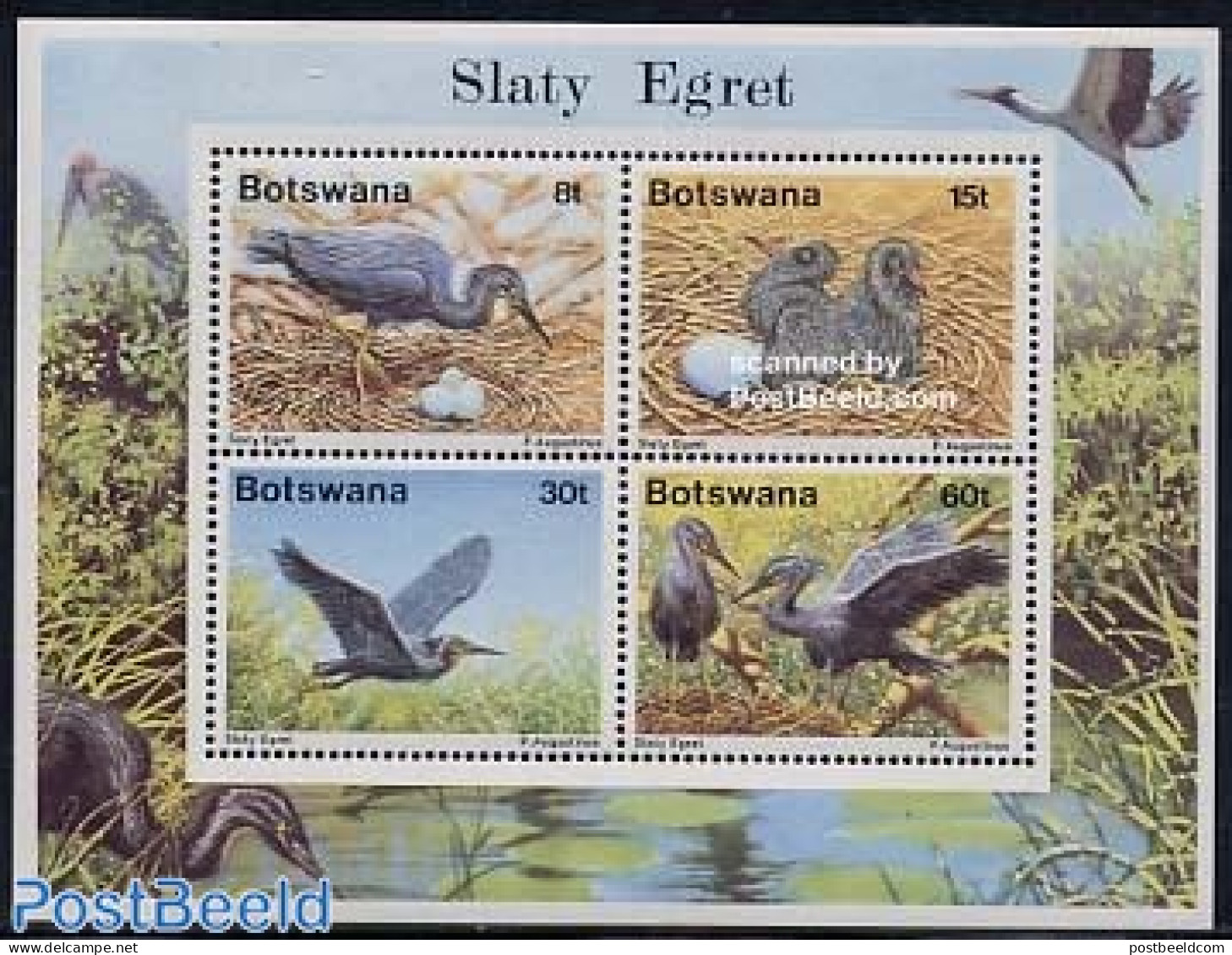Botswana 1989 Birds S/s, Mint NH, Nature - Birds - Botswana (1966-...)