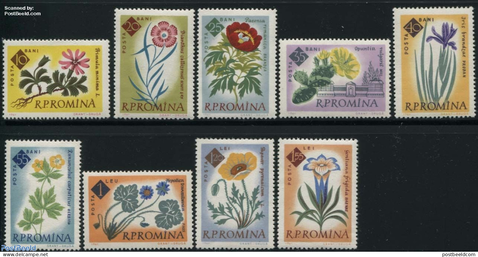 Romania 1961 Flowers 9v, Mint NH, Nature - Flowers & Plants - Neufs