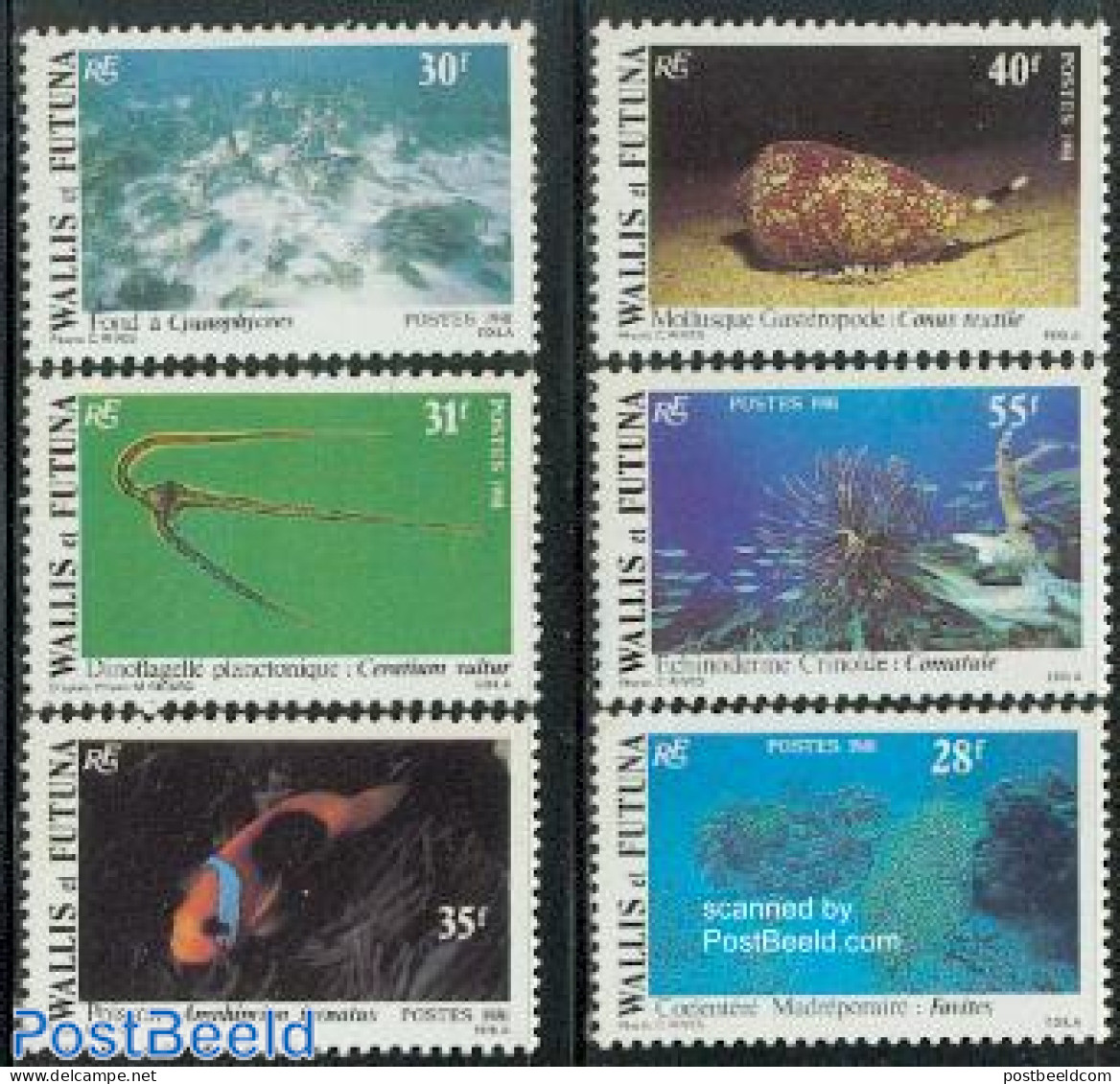 Wallis & Futuna 1981 Marine Life 6v, Mint NH, Nature - Fish - Shells & Crustaceans - Poissons