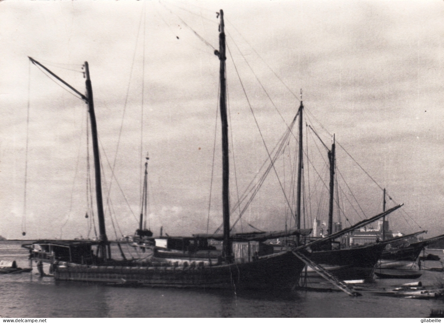 Photo Originale - Vieux Voiliers Amarrés Au Port ( Endroit A Determiner ) - Boats