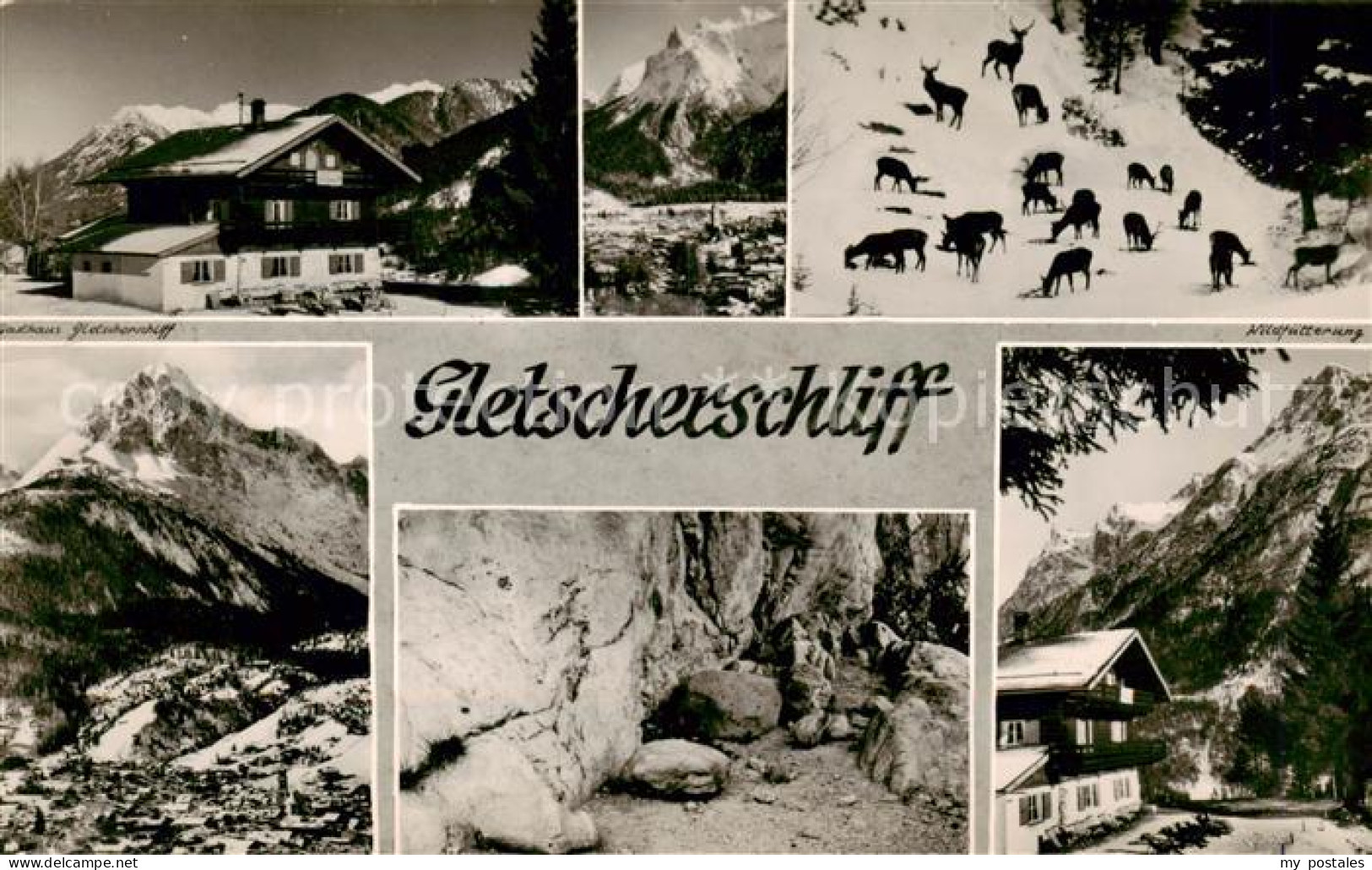 73855841 Schneefernerhaus 2650m Zugspitze Gletscherschliff Panorama Wildfuetteru - Garmisch-Partenkirchen