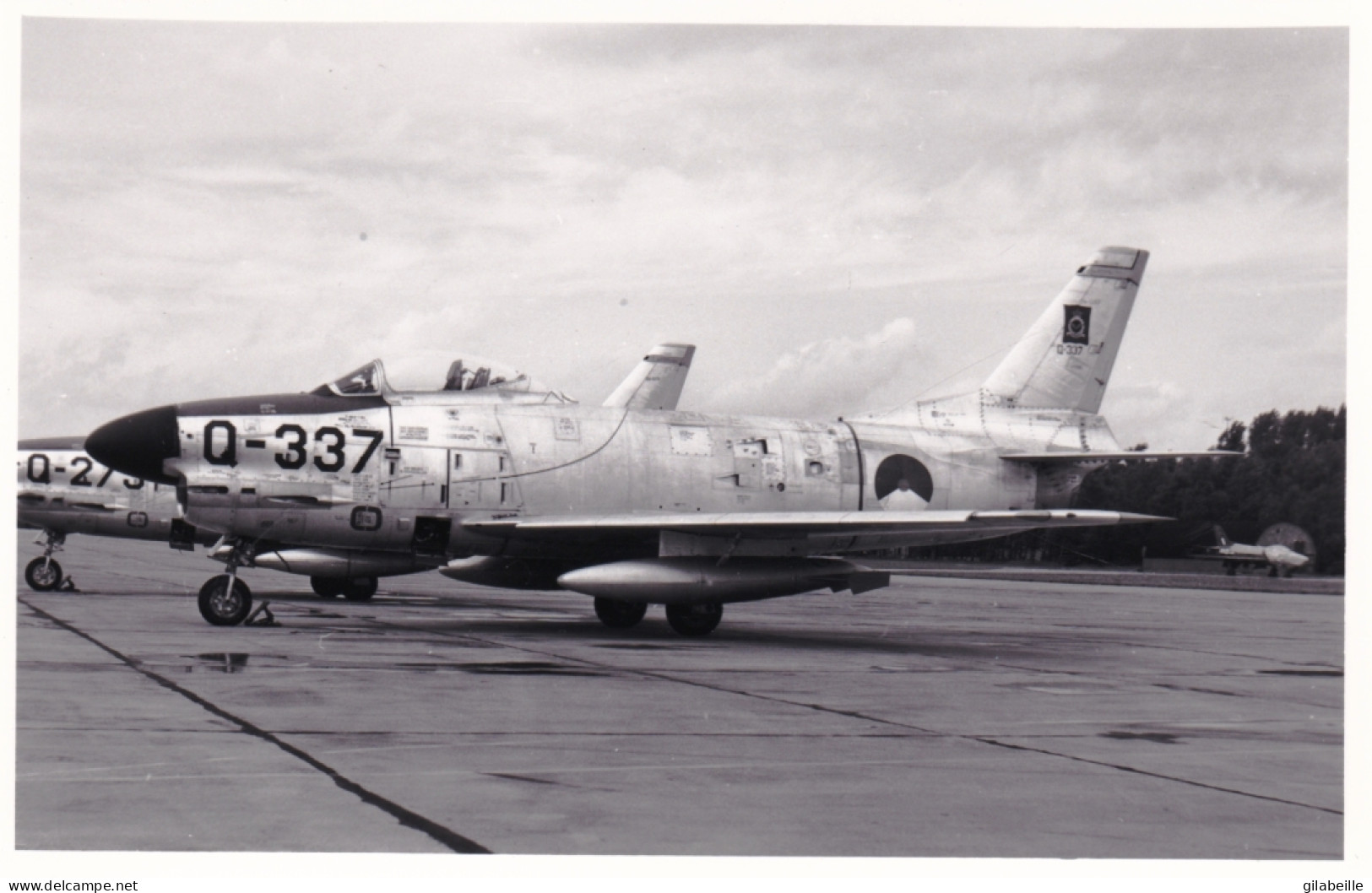 Photo Originale - Aviation - Militaria - Avion North American F-86 Sabre - Luftfahrt