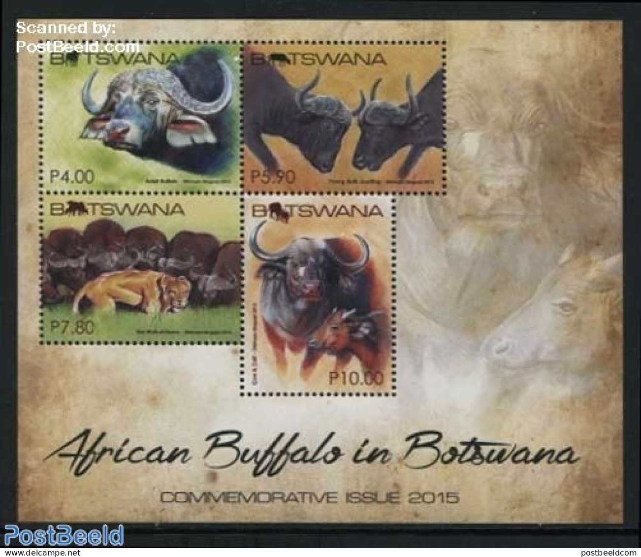 Botswana 2015 African Buffalo S/s, Mint NH, Nature - Animals (others & Mixed) - Cat Family - Botswana (1966-...)
