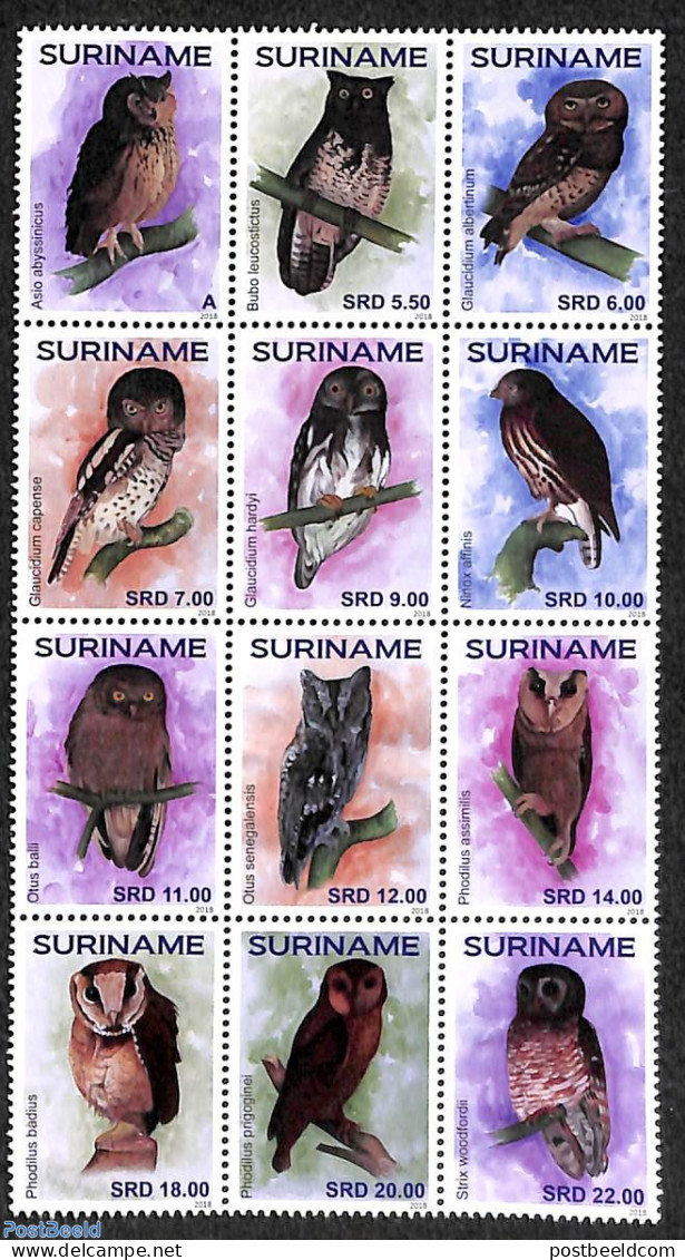 Suriname, Republic 2018 Owls 12v, Sheetlet, Mint NH, Nature - Birds - Birds Of Prey - Owls - Surinam