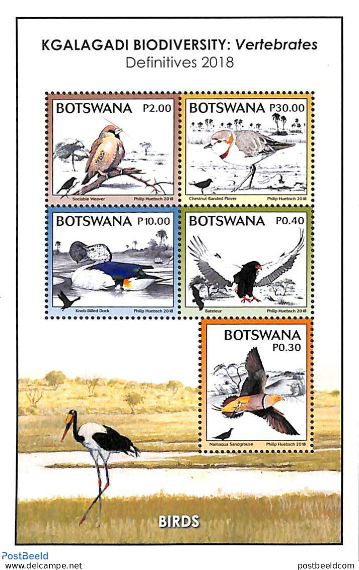 Botswana 2018 Birds 5v M/s, Mint NH, Nature - Birds - Birds Of Prey - Ducks - Botswana (1966-...)