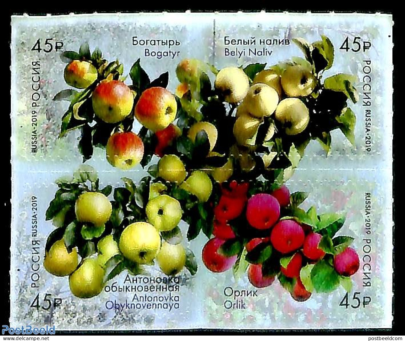 Russia 2019 Apples 4v S-a, Mint NH, Nature - Fruit - Frutta