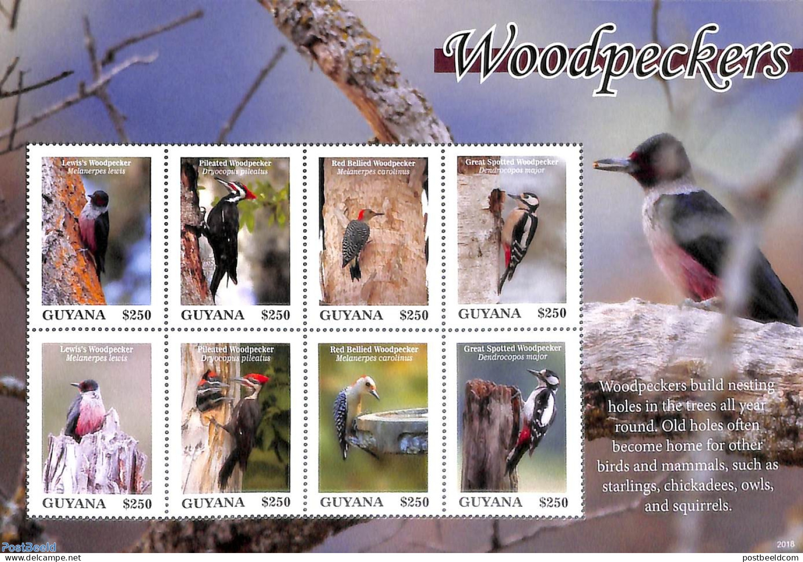 Guyana 2020 Woodpeckers 8v M/s, Mint NH, Nature - Birds - Guiana (1966-...)