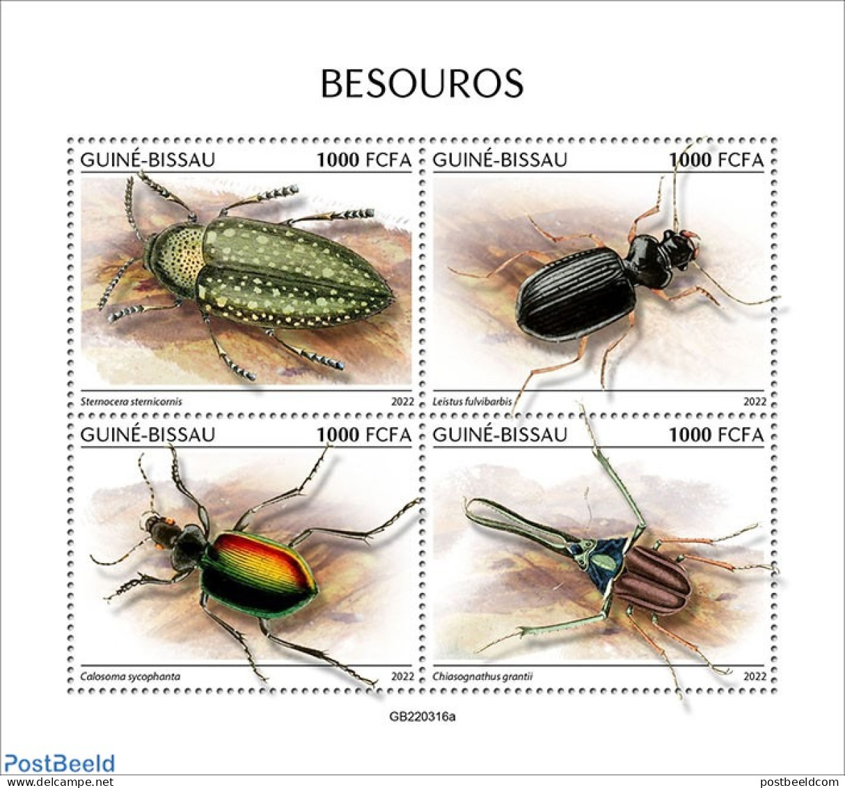 Guinea Bissau 2022 Beetles, Mint NH, Nature - Insects - Guinée-Bissau