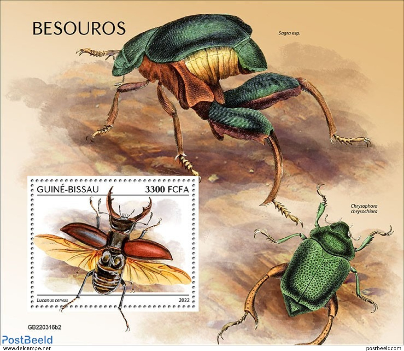 Guinea Bissau 2022 Beetles, Mint NH, Nature - Insects - Guinée-Bissau