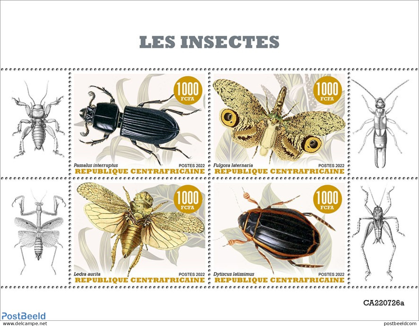 Central Africa 2022 Insects, Mint NH, Nature - Insects - Repubblica Centroafricana