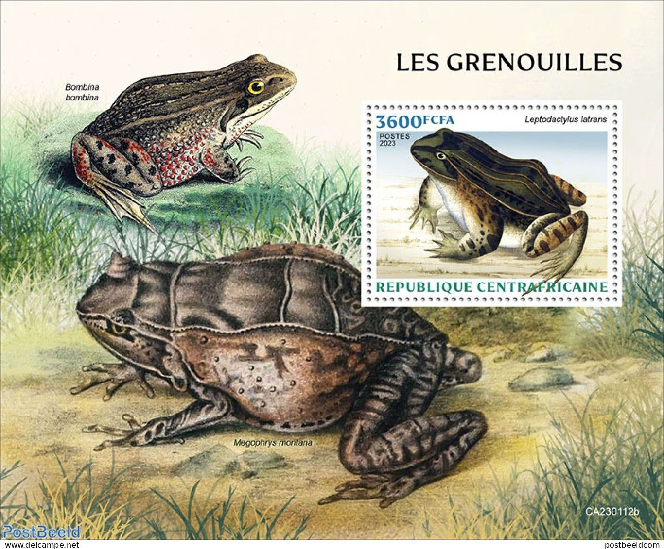 Central Africa 2023 Frogs, Mint NH, Nature - Frogs & Toads - Central African Republic