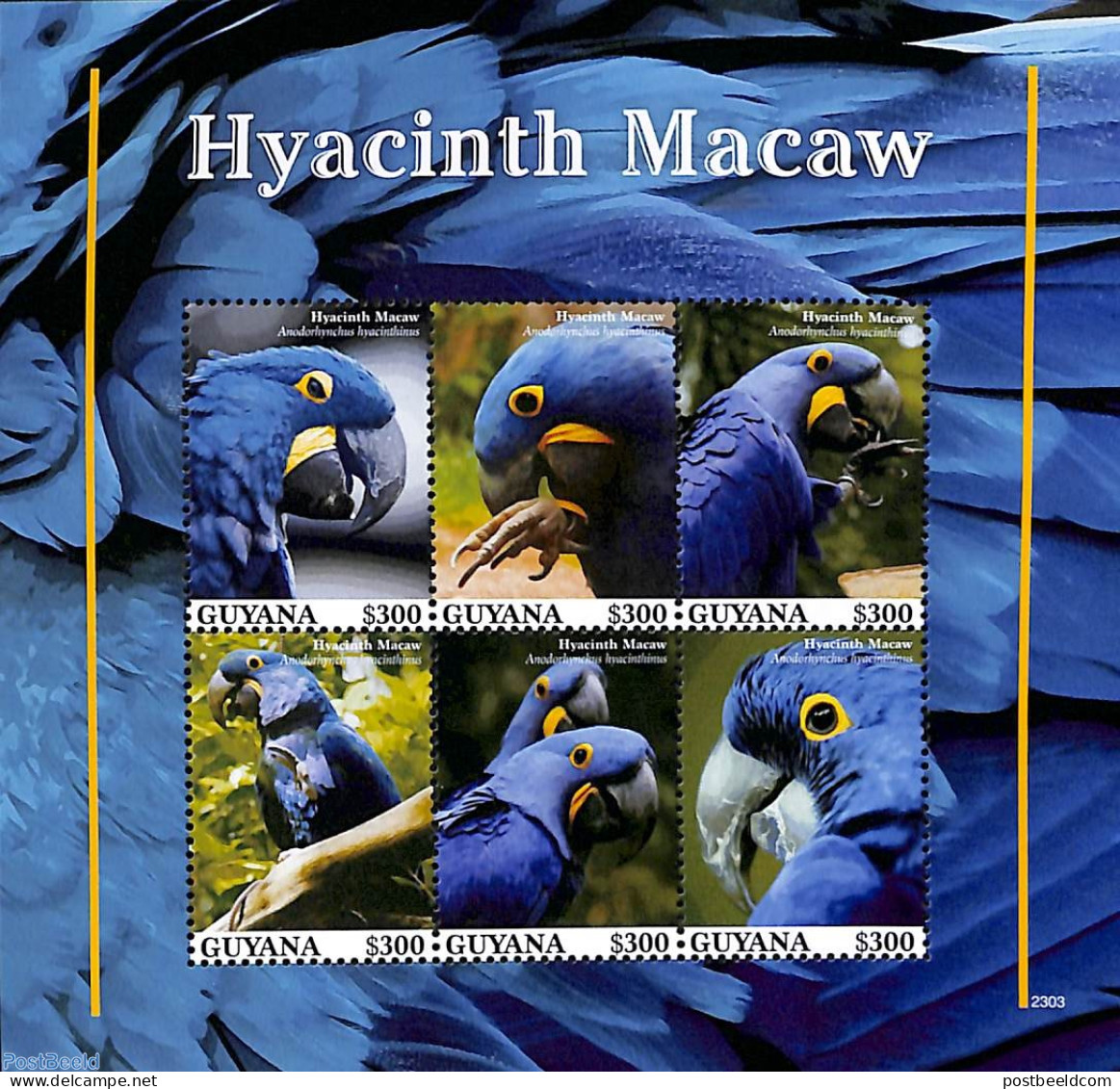 Guyana 2023 Hyacinth Macaw 6v M/s, Mint NH, Nature - Birds - Parrots - Guyane (1966-...)