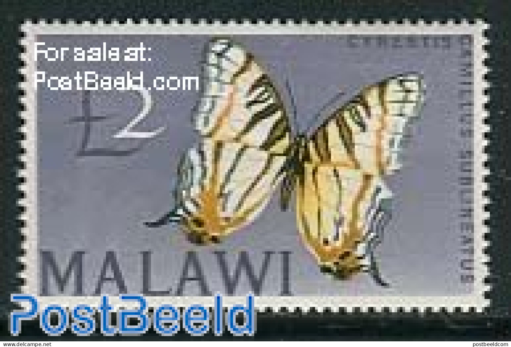 Malawi 1966 2pound, Stamp Out Of Set, Unused (hinged), Nature - Butterflies - Malawi (1964-...)