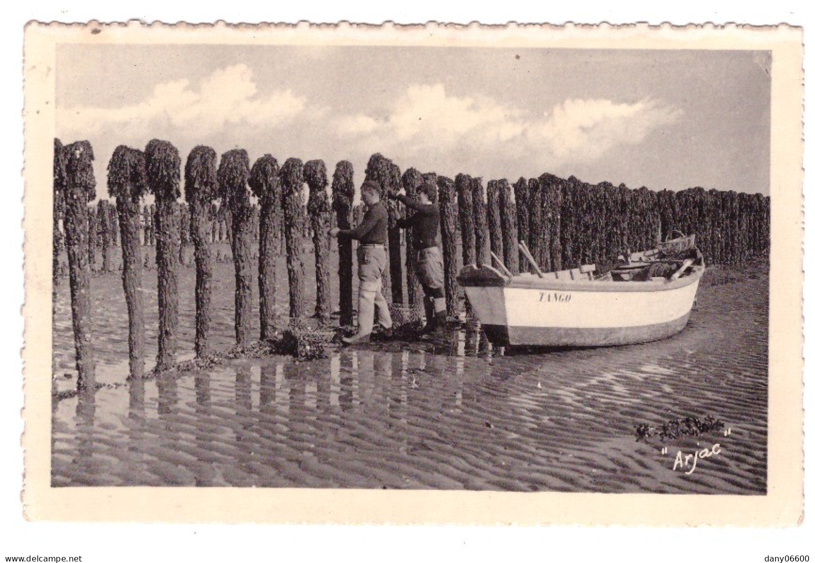 ILE D OLERON - BOYARDVILLE Récolte Des Moules De Bouchots  (carte Animée) - Craft