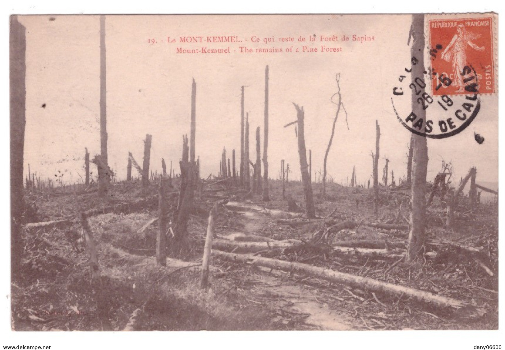 BELGIQUE -LE MONT KEMMEL - Ce Qui Reste De La Forêt De Sapins  - Other & Unclassified