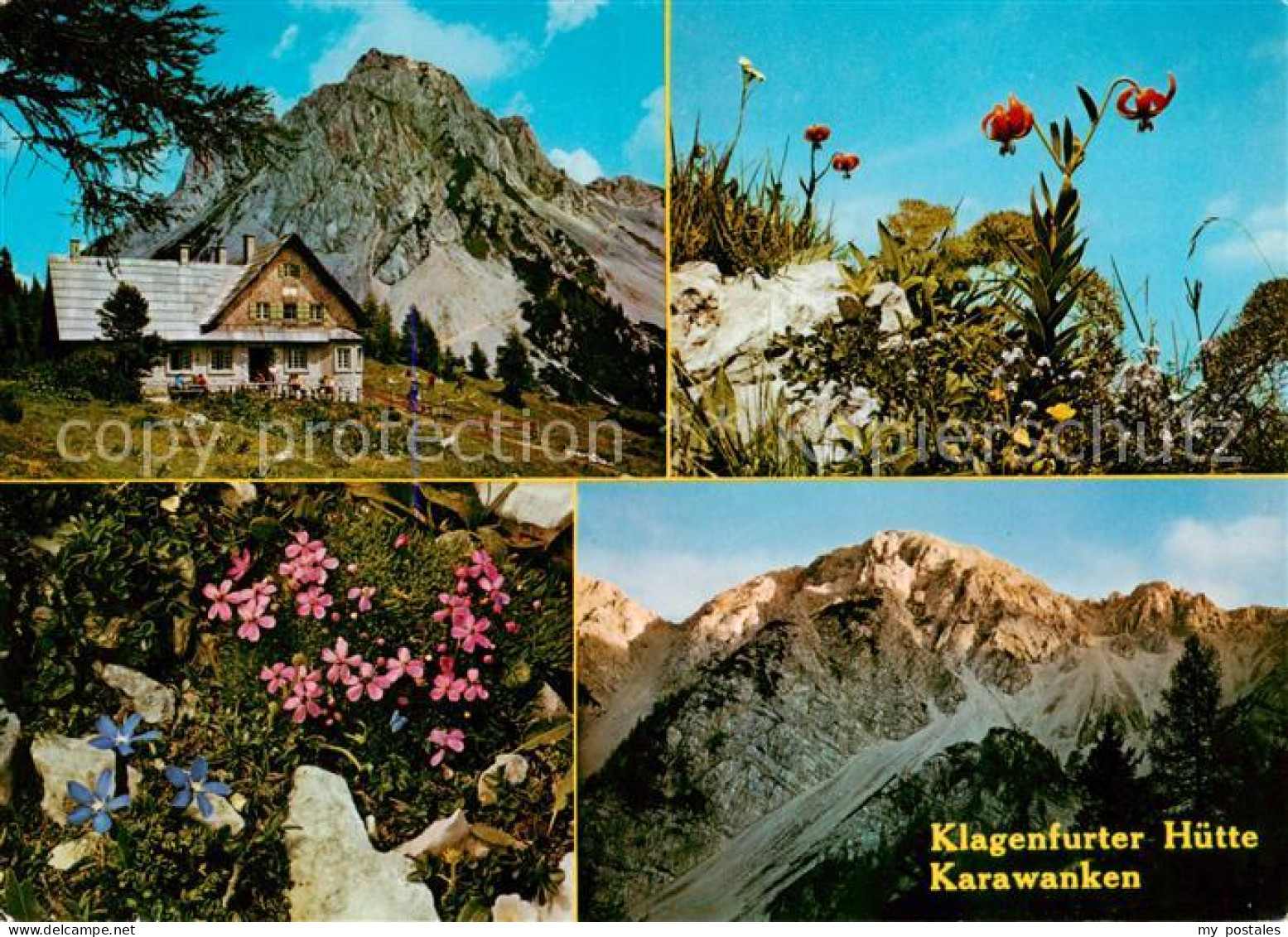 73855595 Klagenfurter Huette 1663m Kaernten Mit Karawanken Und Alpenflora  - Other & Unclassified