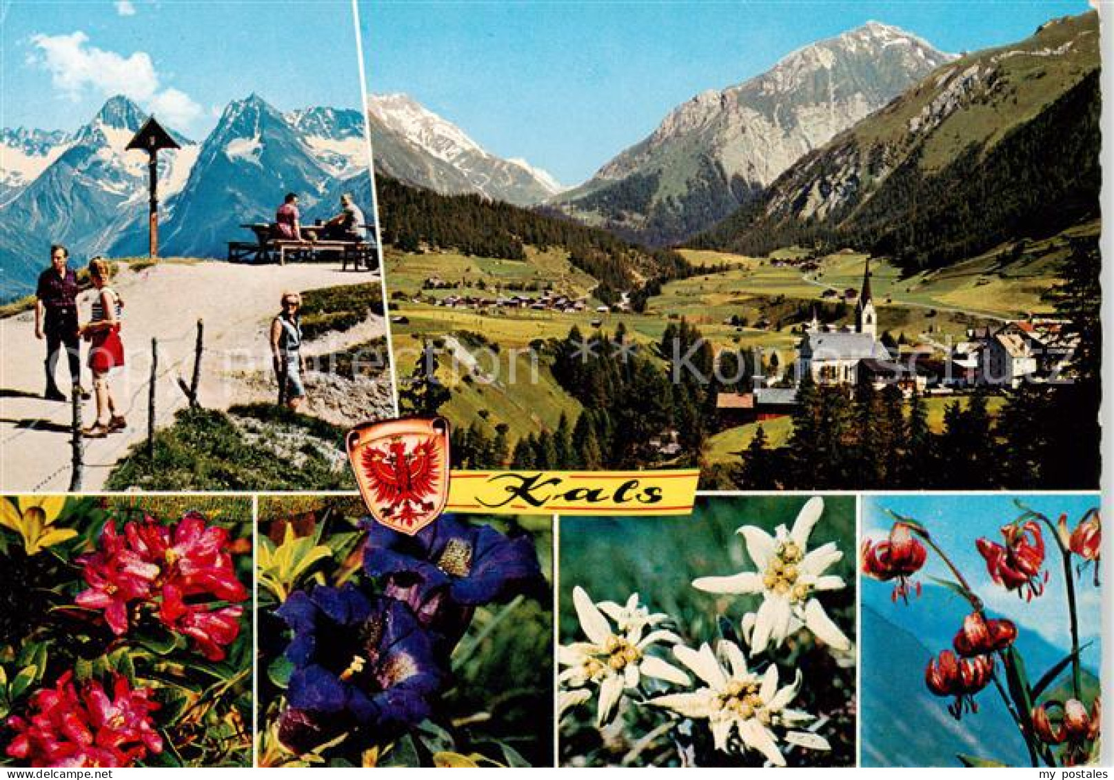 73855443 Kals-Lesach Grossglockner Tirol AT Matreier Toerl Panorama Alpenflora  - Andere & Zonder Classificatie