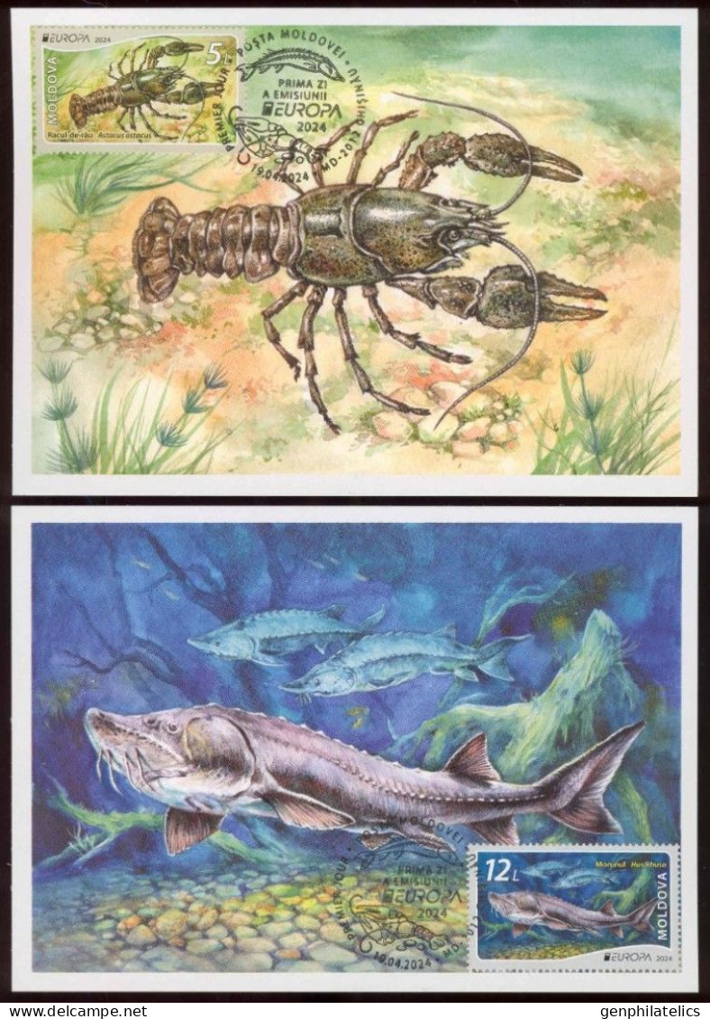 MOLDOVA 2024 Europa CEPT. Underwater Fauna & Flora - 2 Maxi Cards - Moldavië